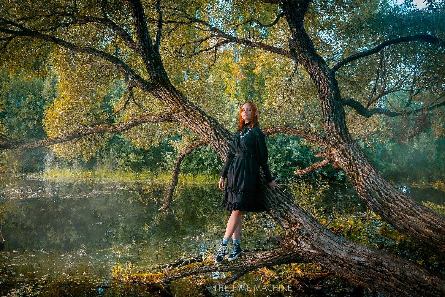 , Михаил Бове