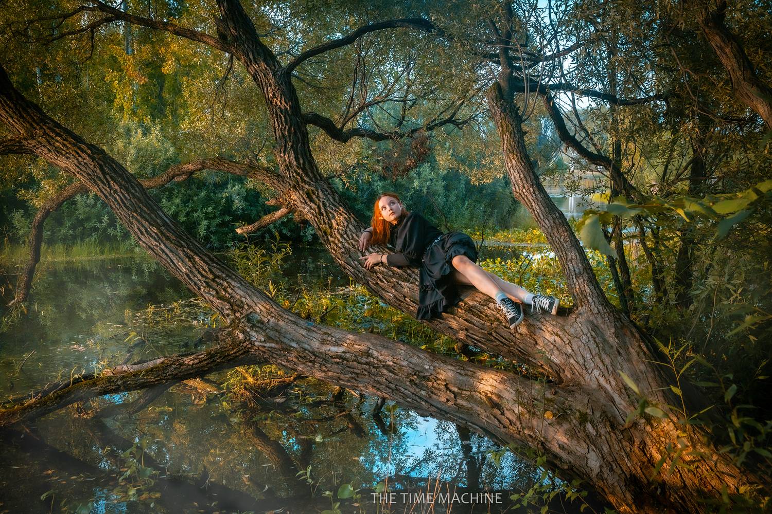 , Михаил Бове