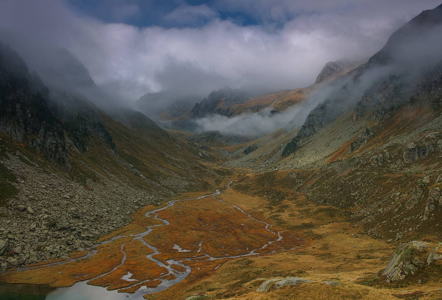 , Wojciech Tarnowski