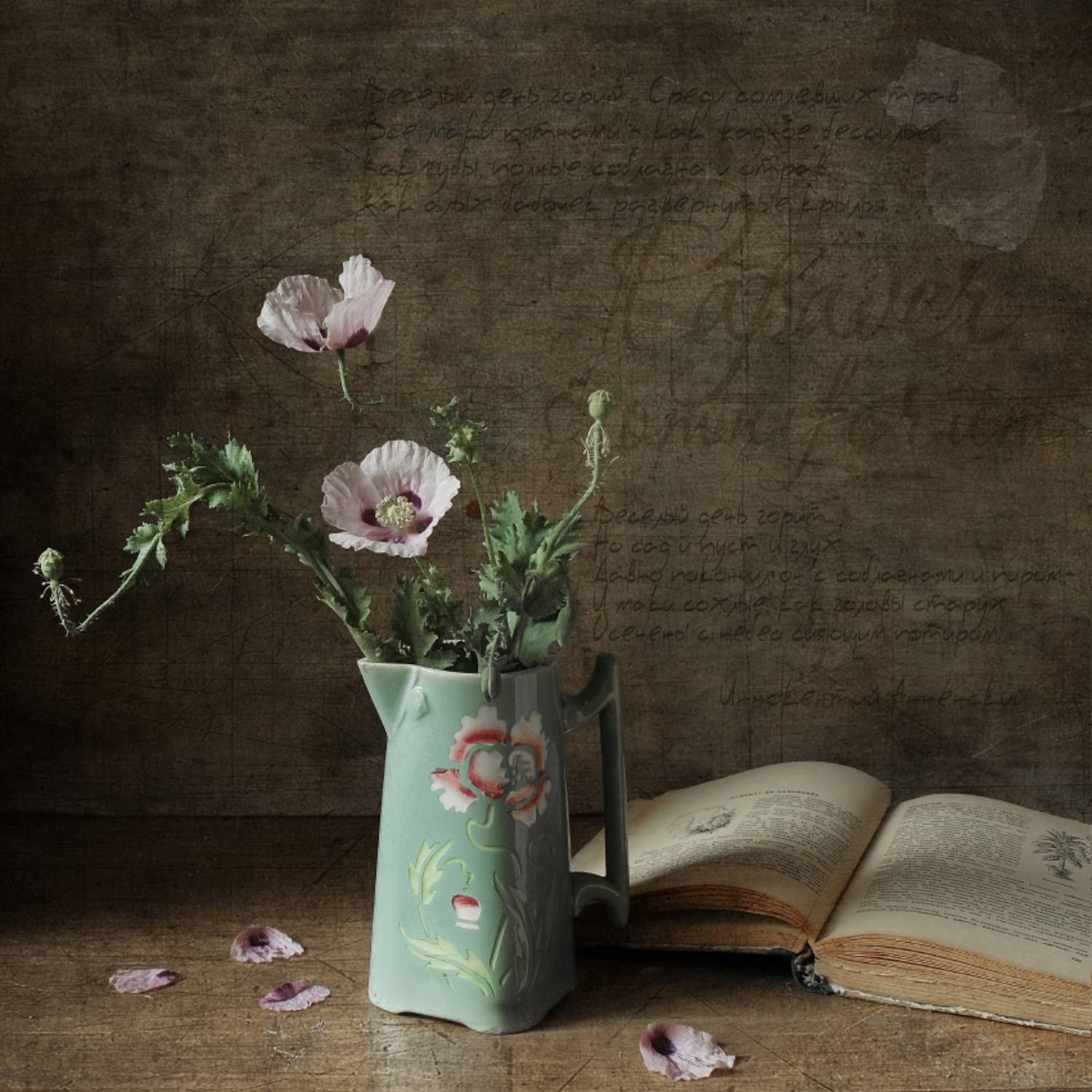 мак, цветы, лето, кувшинчик, Елена Колеснева