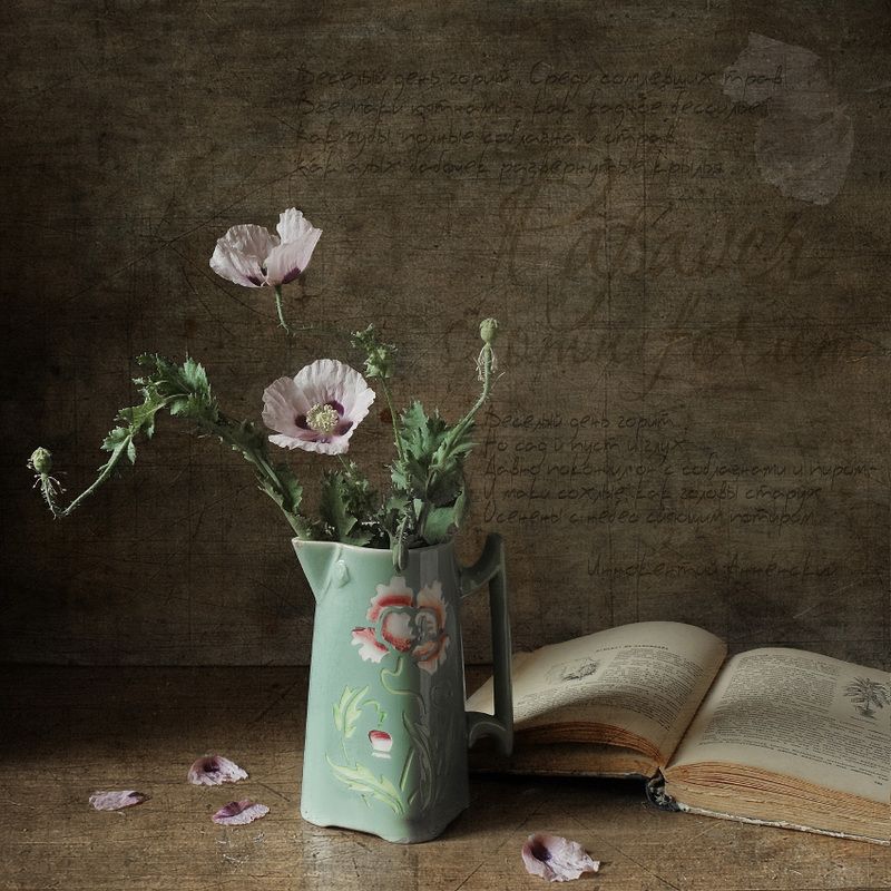 мак, цветы, лето, кувшинчик Papaver фото превью