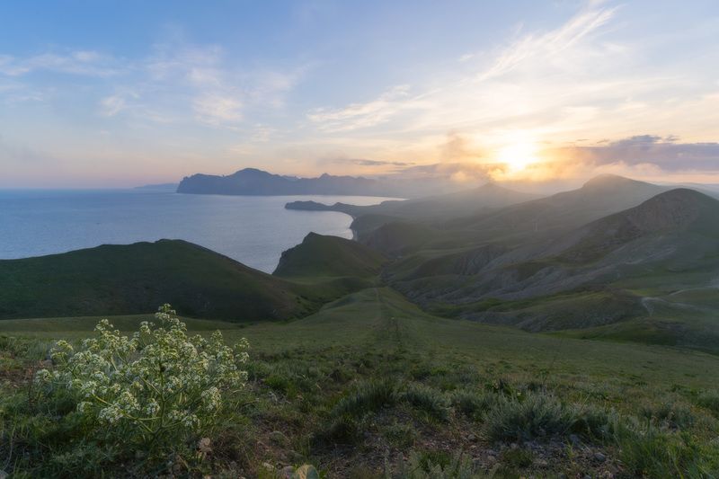 фото превью