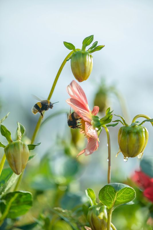 после дождя фото превью