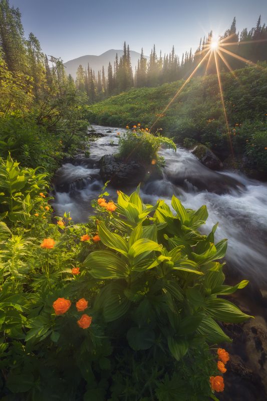 пейзаж, природа, утро, рассвет, горы, лес, тайга, ручей, туризм Рассвет у ручья Чистайга фото превью
