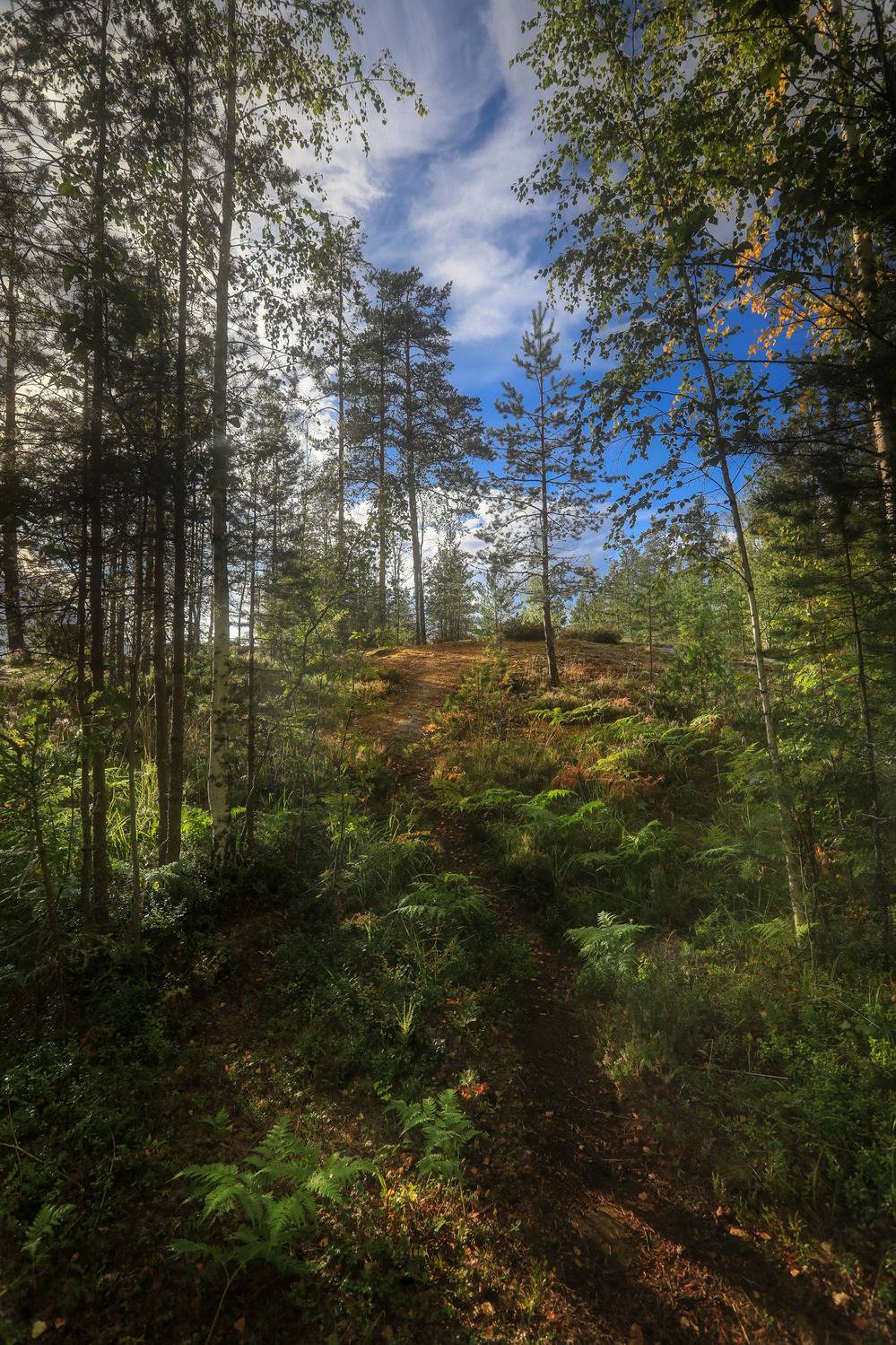 , Андрей Ершов