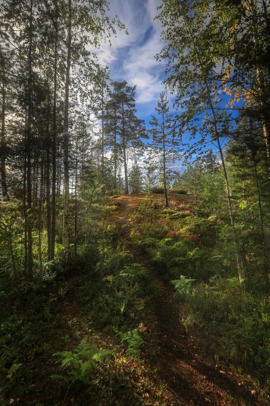 После дождя фото превью