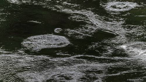 Загадочные воды Курейки