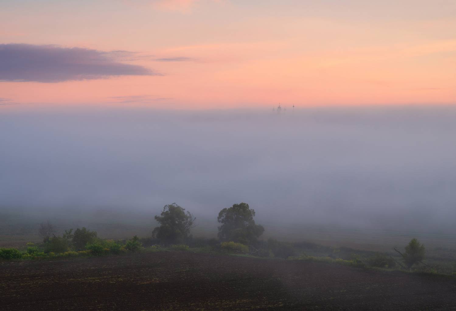 одоев, тульская область, анастасов монастырь, Виталий Левыкин