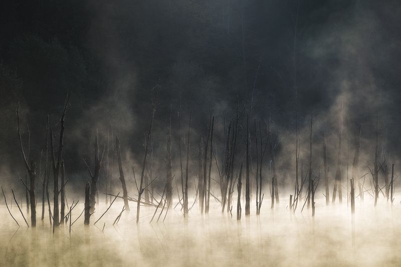 2024 фото превью