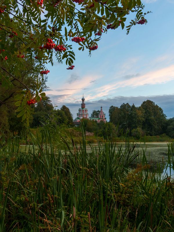 Рябина созрела - осень близко! фото превью