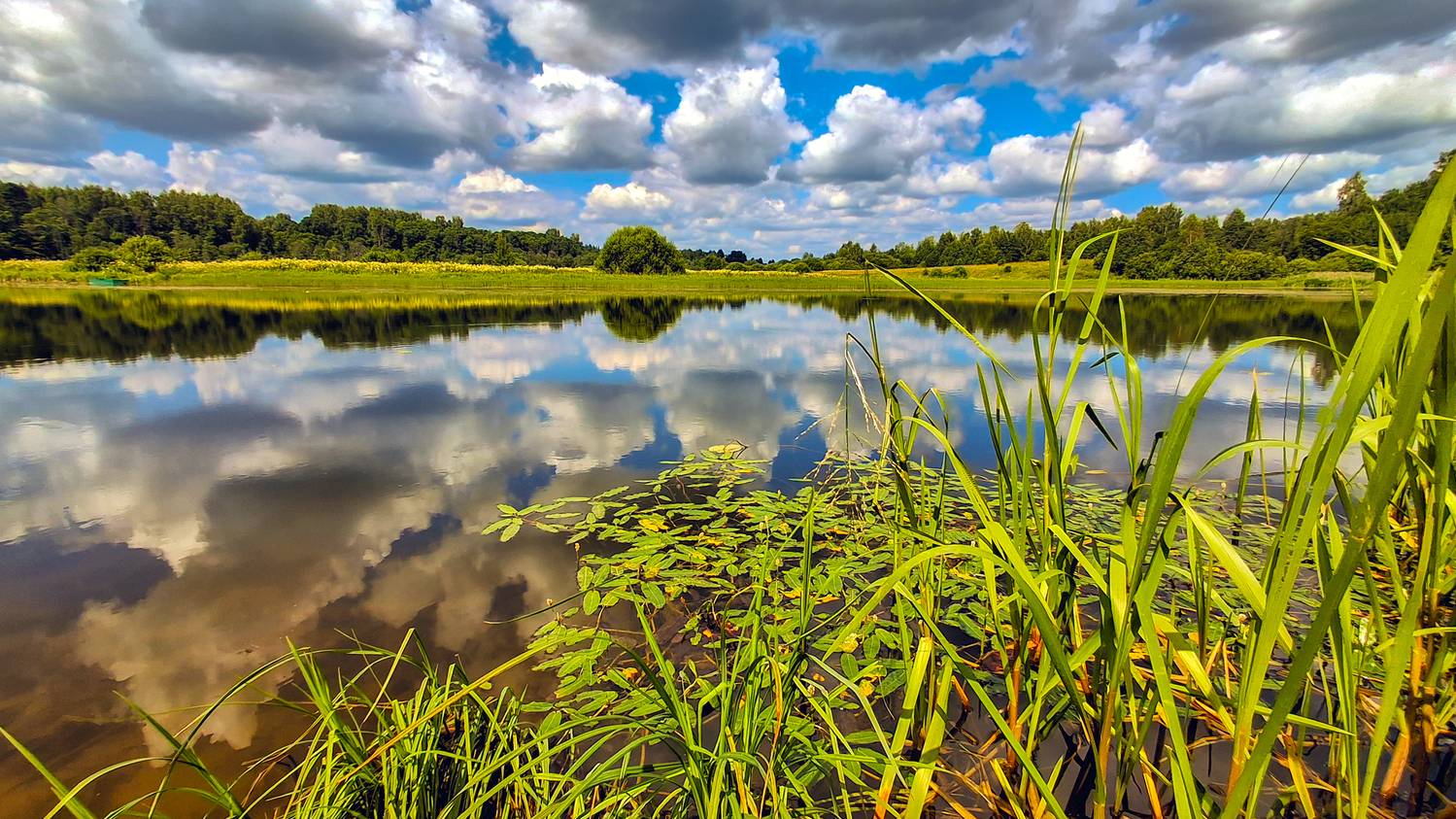 , Фотов Ренат