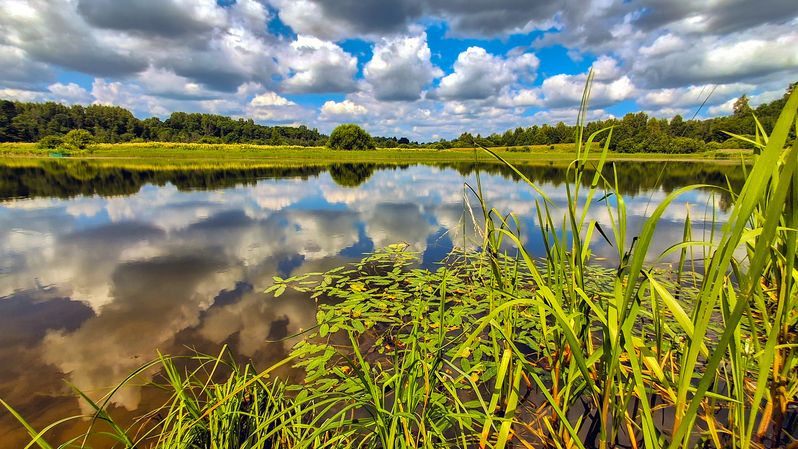Костромской край: на воде фото превью