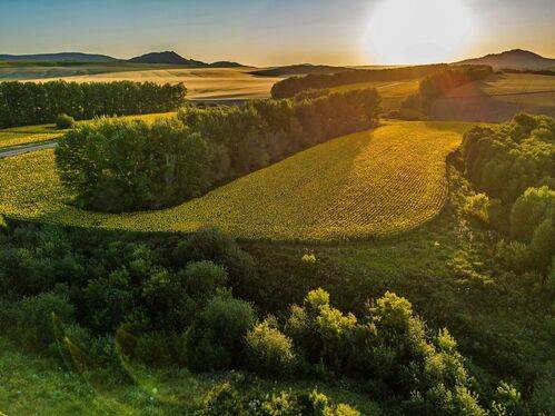 Над полями подсолнуха