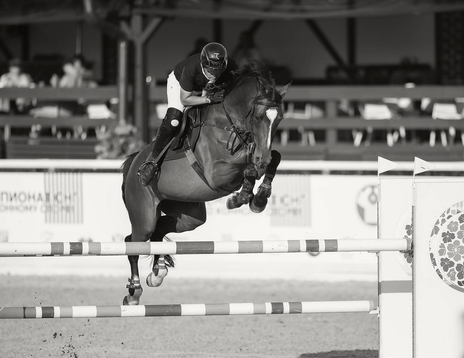 соревнования,конкур,спорт, competition,horse,jump, sport, Стукалова Юлия