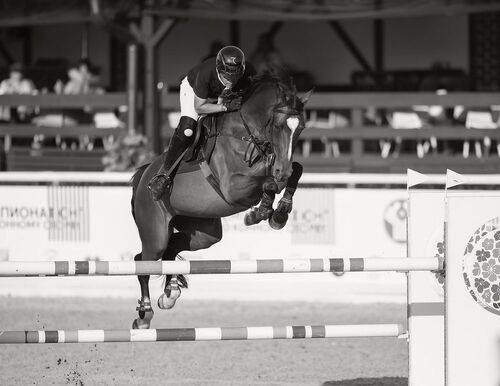 В прыжке к победе