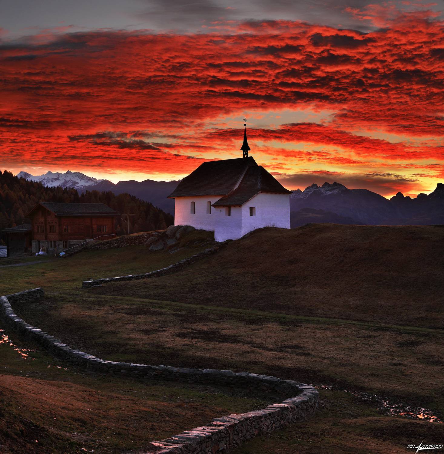 swiss, Матвеев Николай