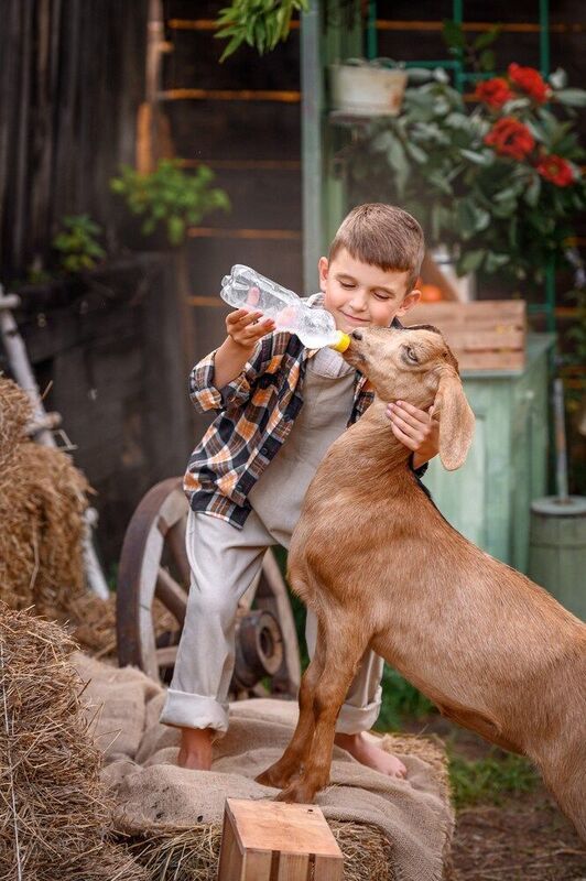 фото превью