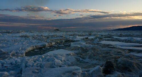 Июньские ледовые поля