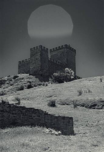 Когда блик винтажной оптики возникает в нужном месте.