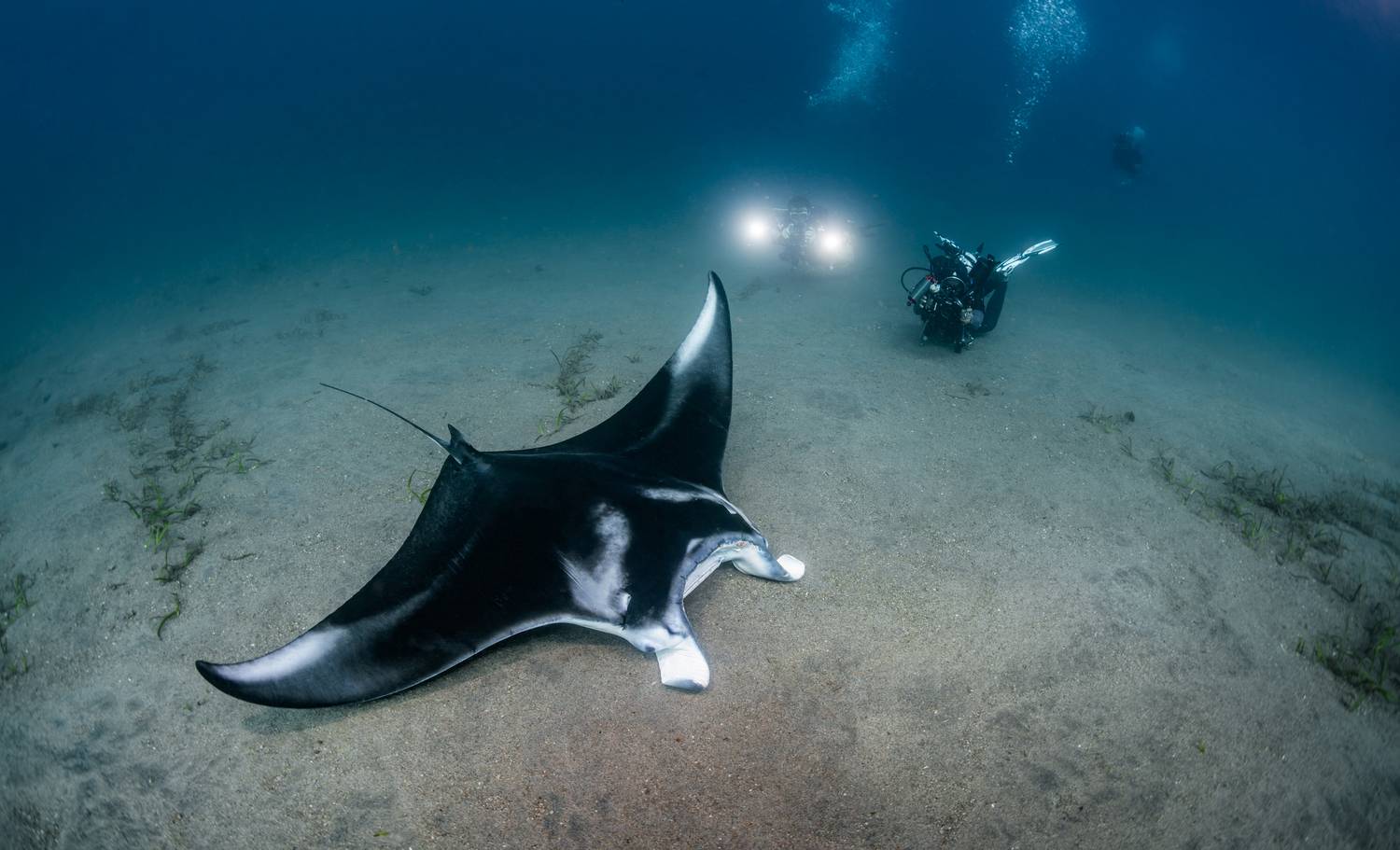 , Савин Андрей