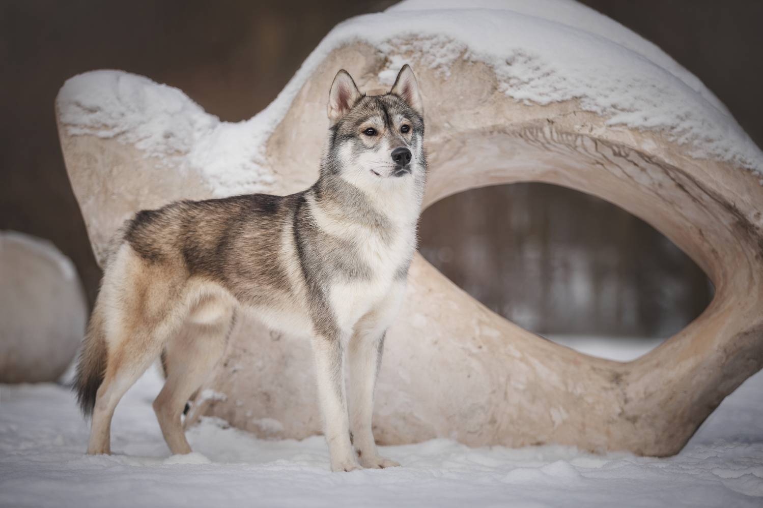 , Яна Нарбутович