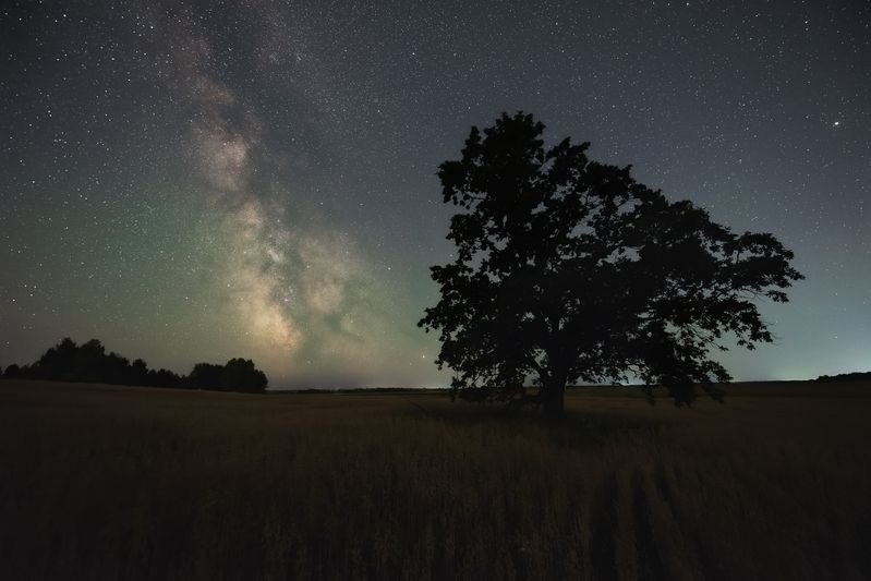 Летней ночью в поле фото превью