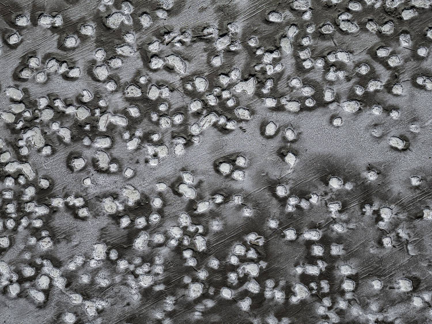 , Михаил Харитонычев