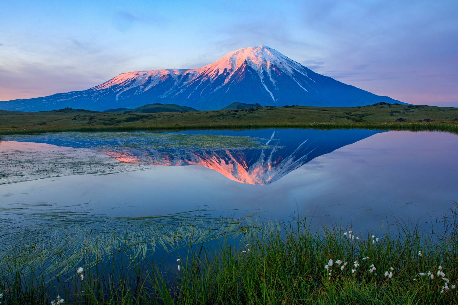 камчатка, Добролюбова Тамара