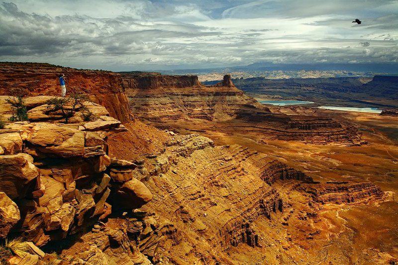 Фотоохотник. фото превью