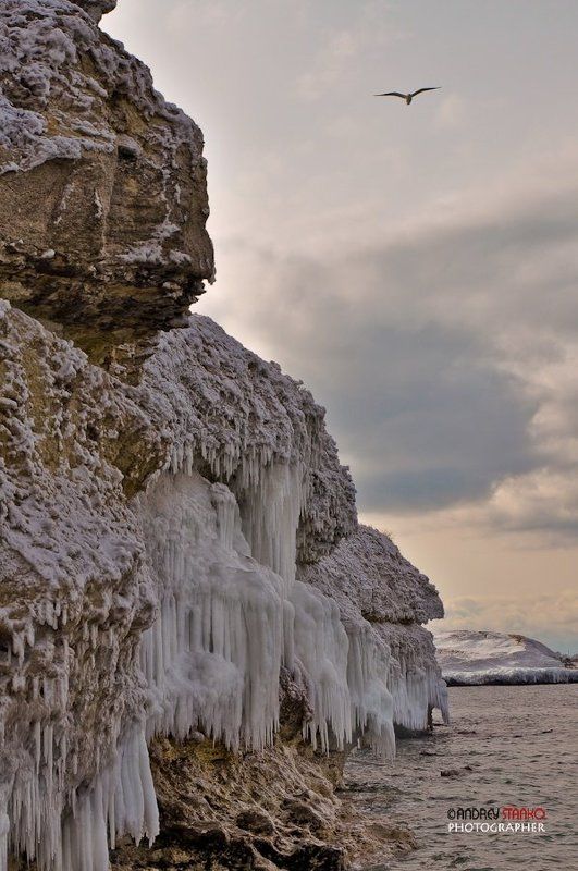 станко, море, севастополь, зима, херсонес Цветы зимнего моря фото превью