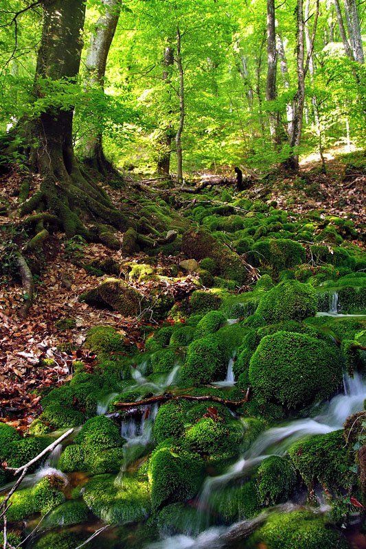 крым, хапхал, джурджур Родник фото превью