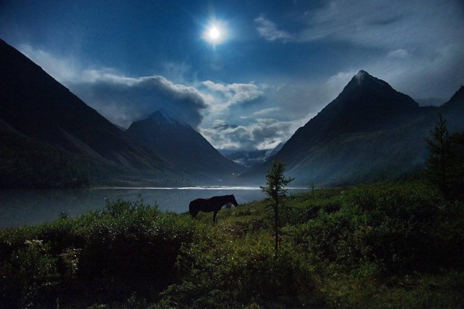 алтай, акем, ночь, луна, лошадка, Dmitriy Egorov