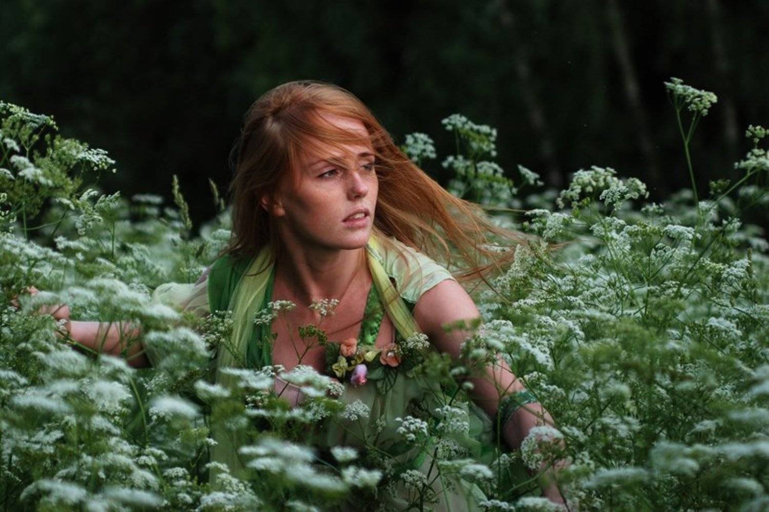 , Дмитрий Карасев