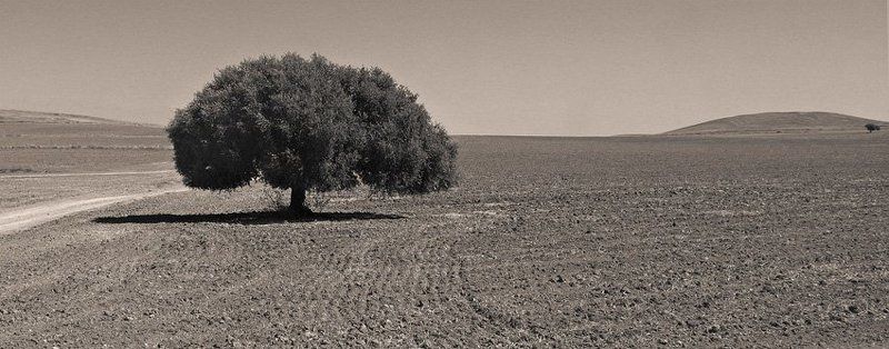 дойти бы... фото превью