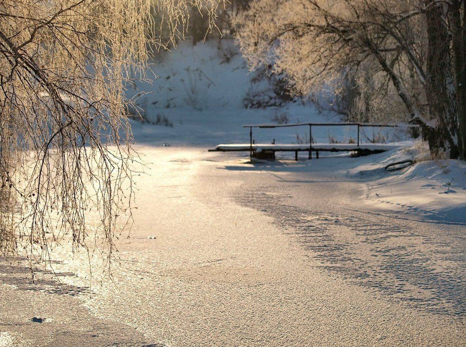 , Максим Евдокимов