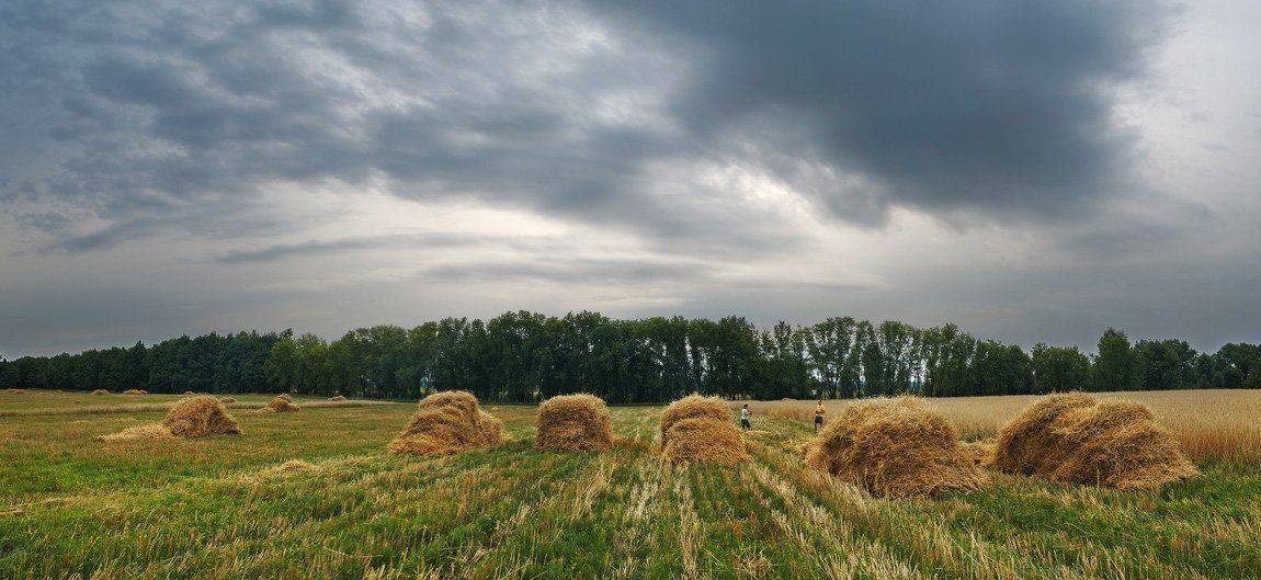 , Михаил Мочалов