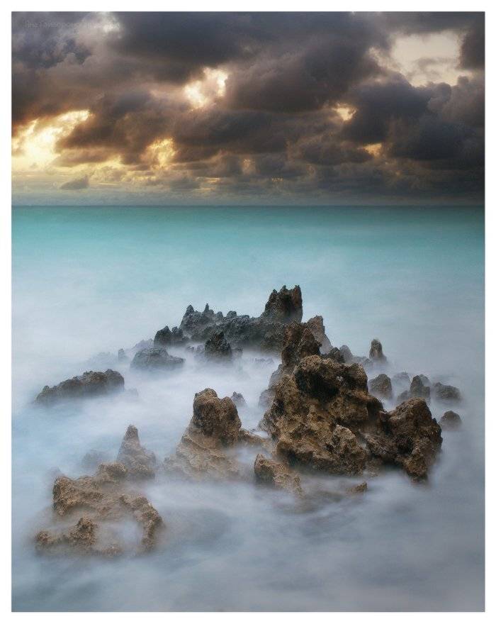 , Яна  Гайворонская