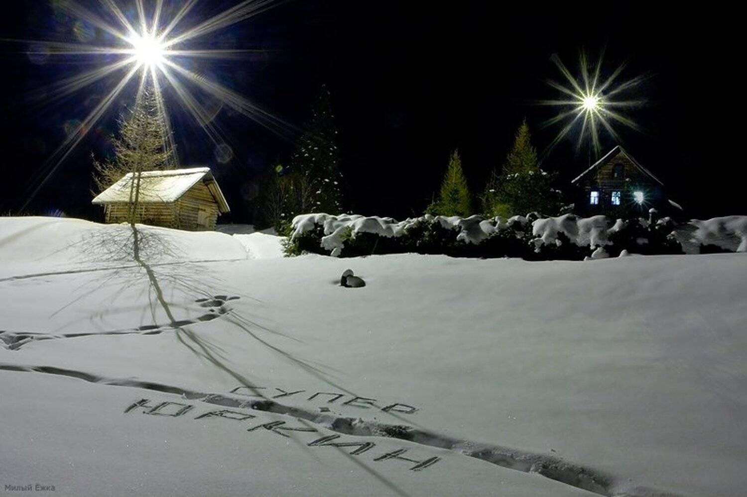 зимняя сказка, сказочник, Милый Ёжка