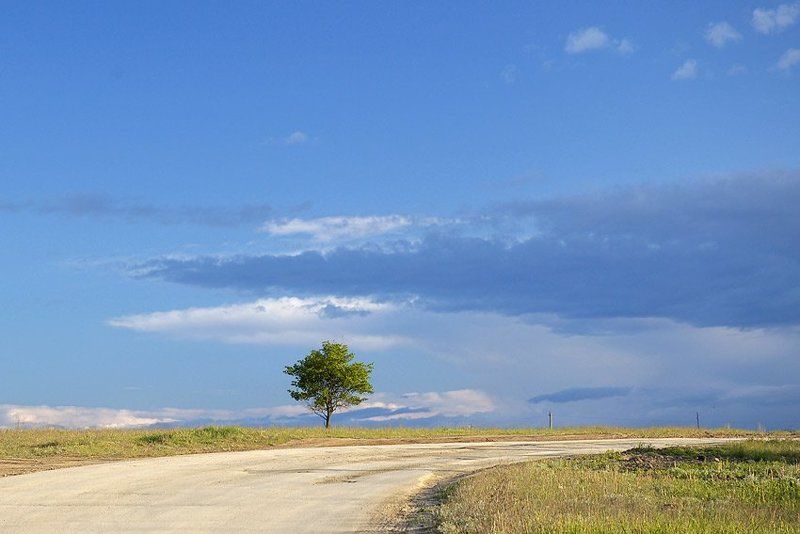 *** фото превью