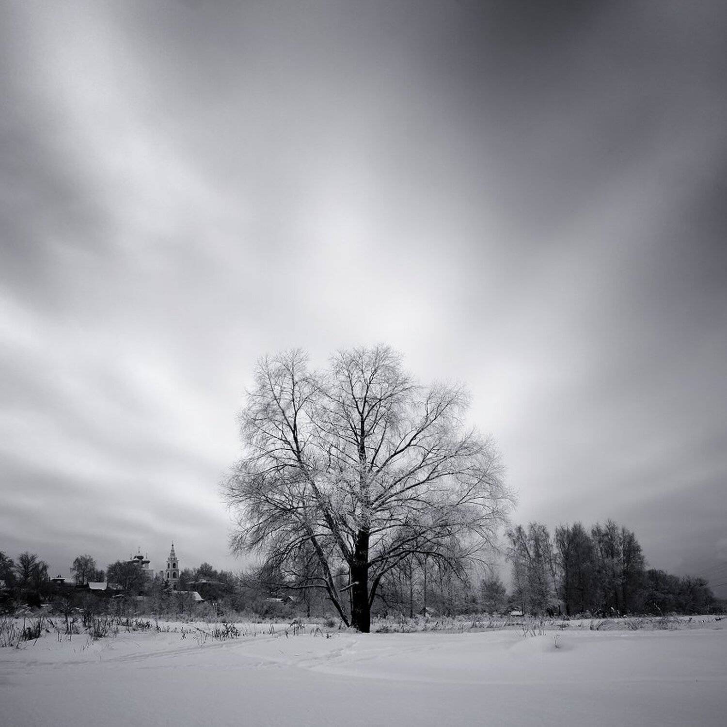 , Максим Евдокимов