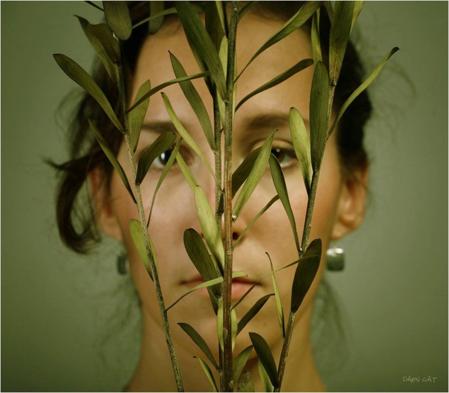 девушка, листва, стебли, зелень, Darn Cat