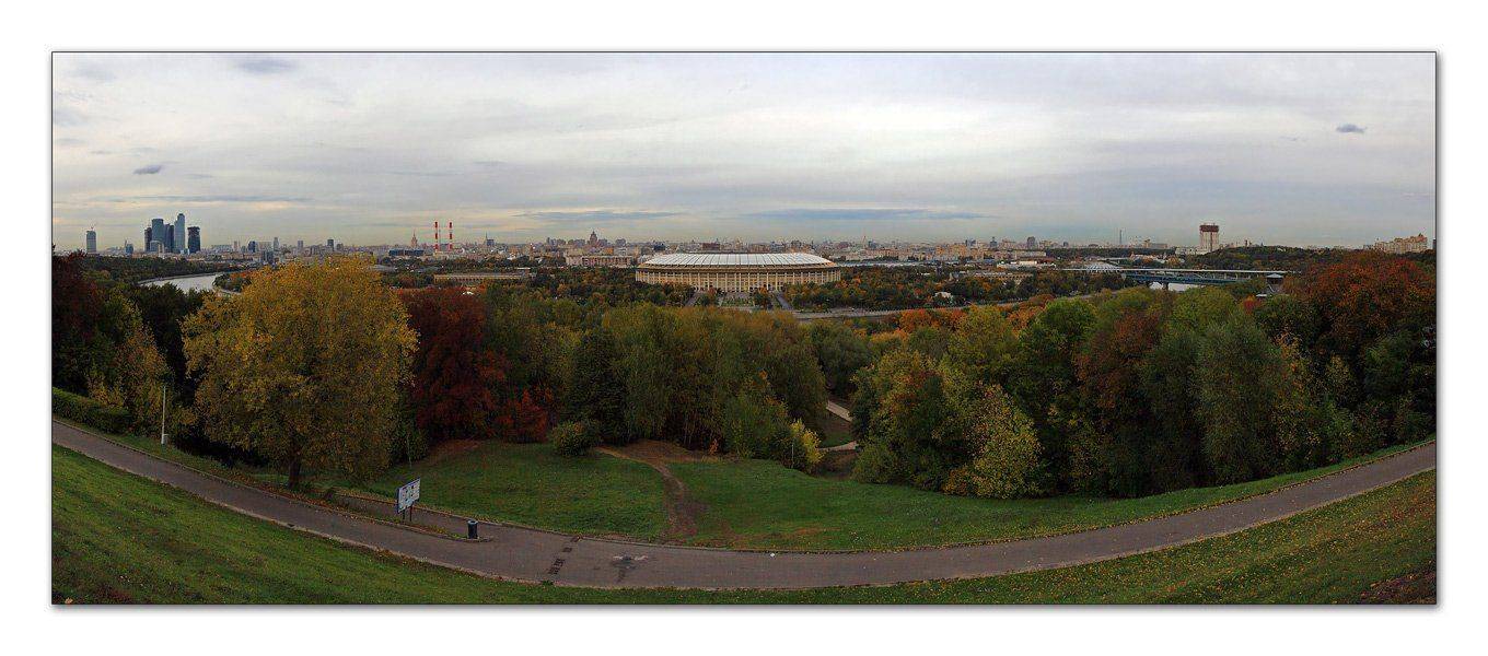 лужники, Симонян Сергей