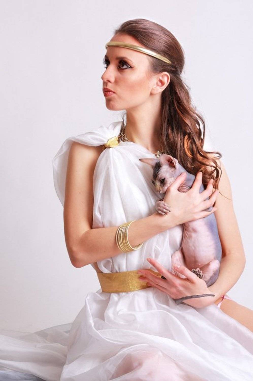 студия, сфинкс, gurfinkel