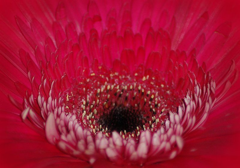 Воронка фото превью