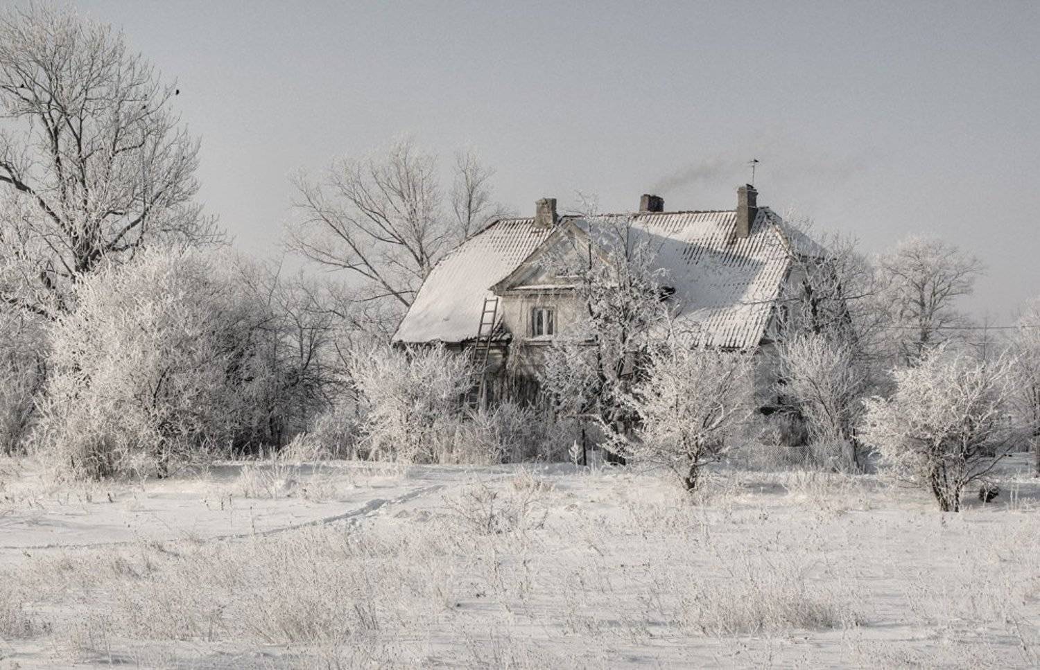 , Павел Дунюшкин