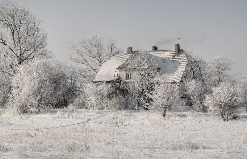 Иней фото превью