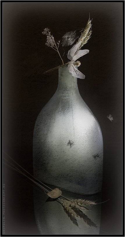 ночь,луна,стрекоза,мотыльки,бабочки,натюрморт,владимир,шипулин, Vladim_Shipulin