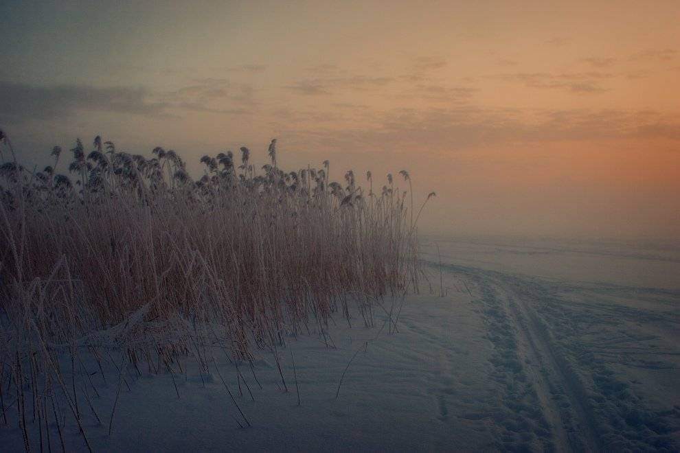 , Владимир Липецких