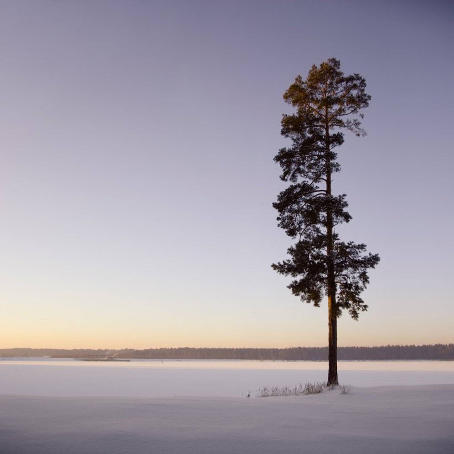 , Александр Дубовицкий