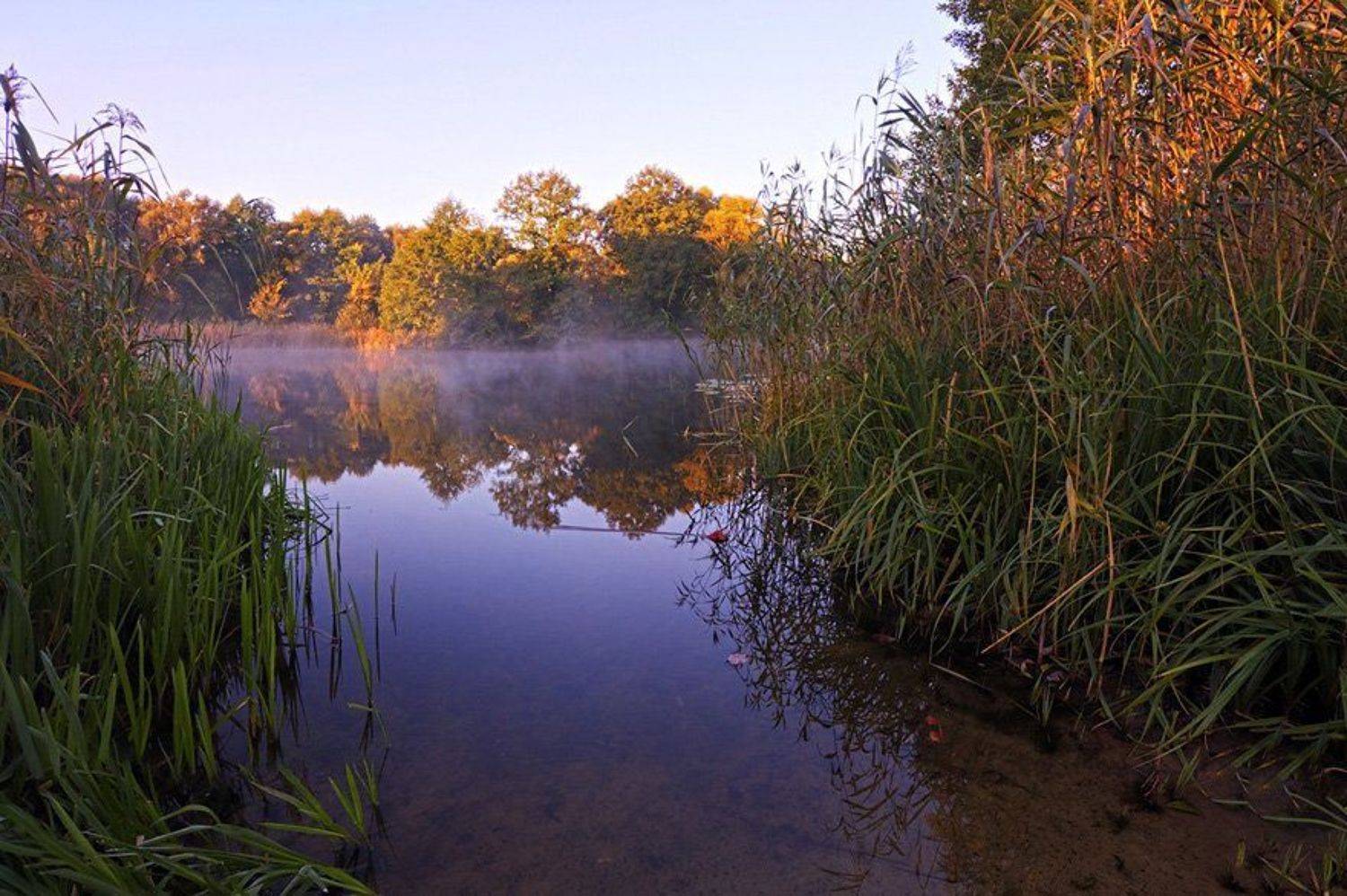 пейзаж,природа,озеро,утро, Алексей Сафаров